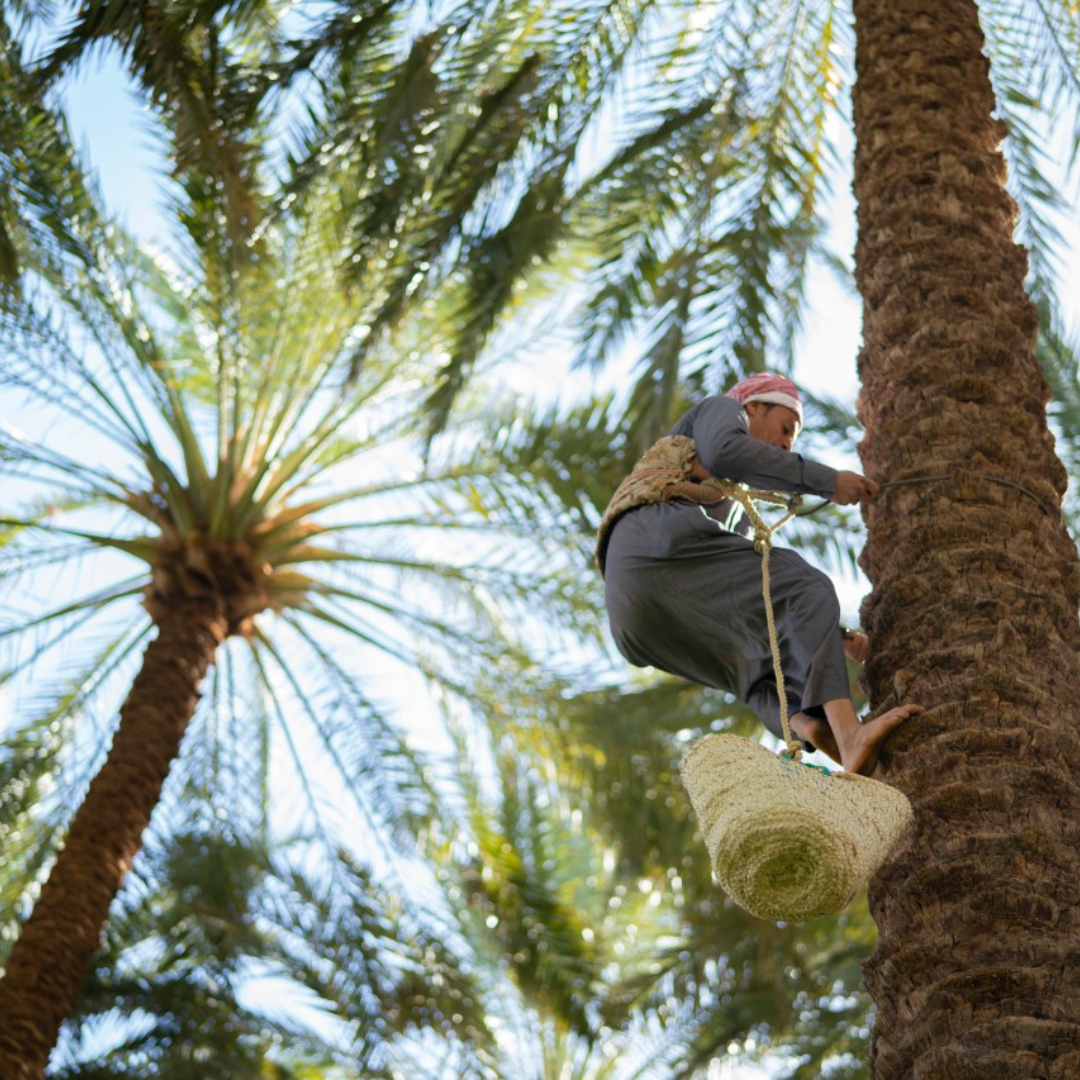 Progetto senza titolo (8)